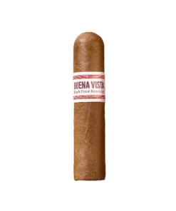 BUENA VISTA Dark Fired Kentucky Short Robusto