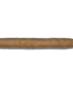 DE OLIFANT Classic V.O.C. (Club)