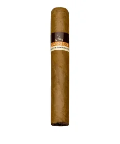 John Aylesbury Garrido Robusto
