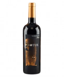 IT ASIO OTUS Cabernet Merlot Shiraz 13 % Vol.
