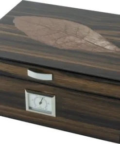 Humidor mit Dekor Blatt für ca. 25 Zigarren