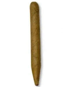 Jacob van Meer Tuitseñoritas 25er Kiste