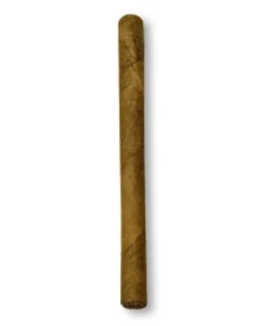 Jacob van Meer Mini Zigarillo
