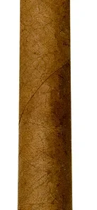 Jacob van Meer Slanke Corona