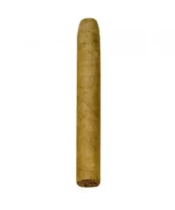 Jacob van Meer Petit Corona