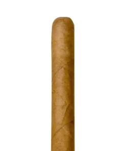 Jacob van Meer Corona 25er Kiste