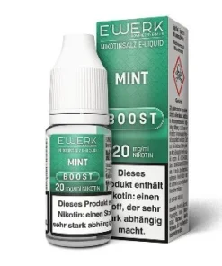 E-Liquid Nikotinsalz E’WERK Boost Mint 20mg