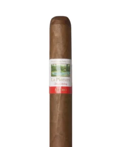 La Pintura Medio Robusto